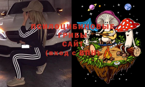 Альфа ПВП Алзамай