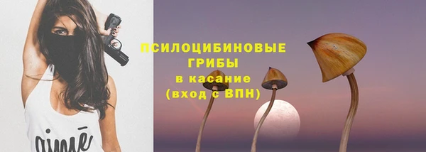 Альфа ПВП Алзамай