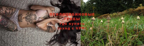 jwh Абаза