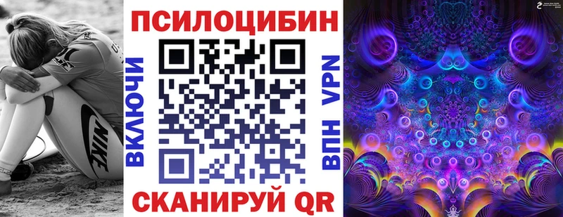 Псилоцибиновые грибы Psilocybine cubensis  Нижнекамск 