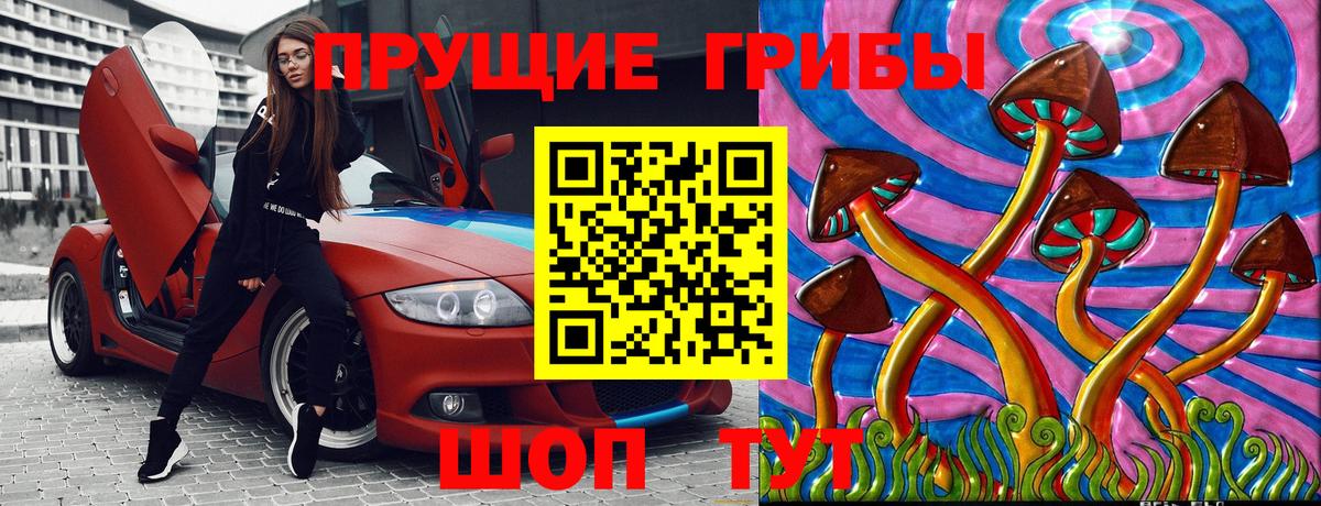 Нижнекамск  Псилоцибиновые грибы Cubensis  Вход с VPN 