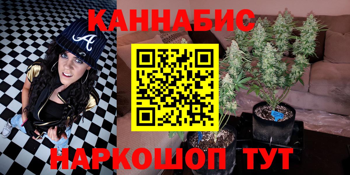 Конопля OG Kush  Вход с VPN  Бошки Шишки планчик  Нижнекамск 